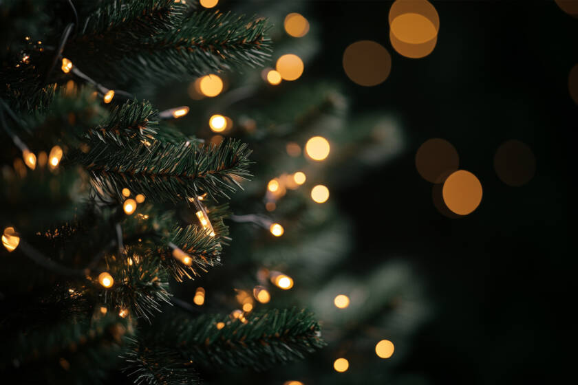 Natale e Santo Stefano – La Voglia Matta