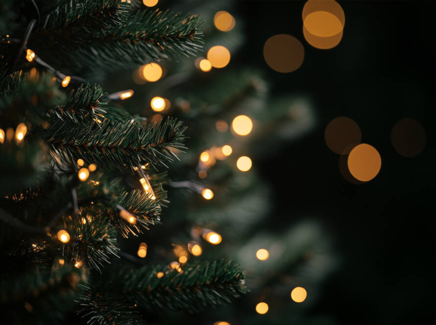 Natale e Santo Stefano – La Voglia Matta